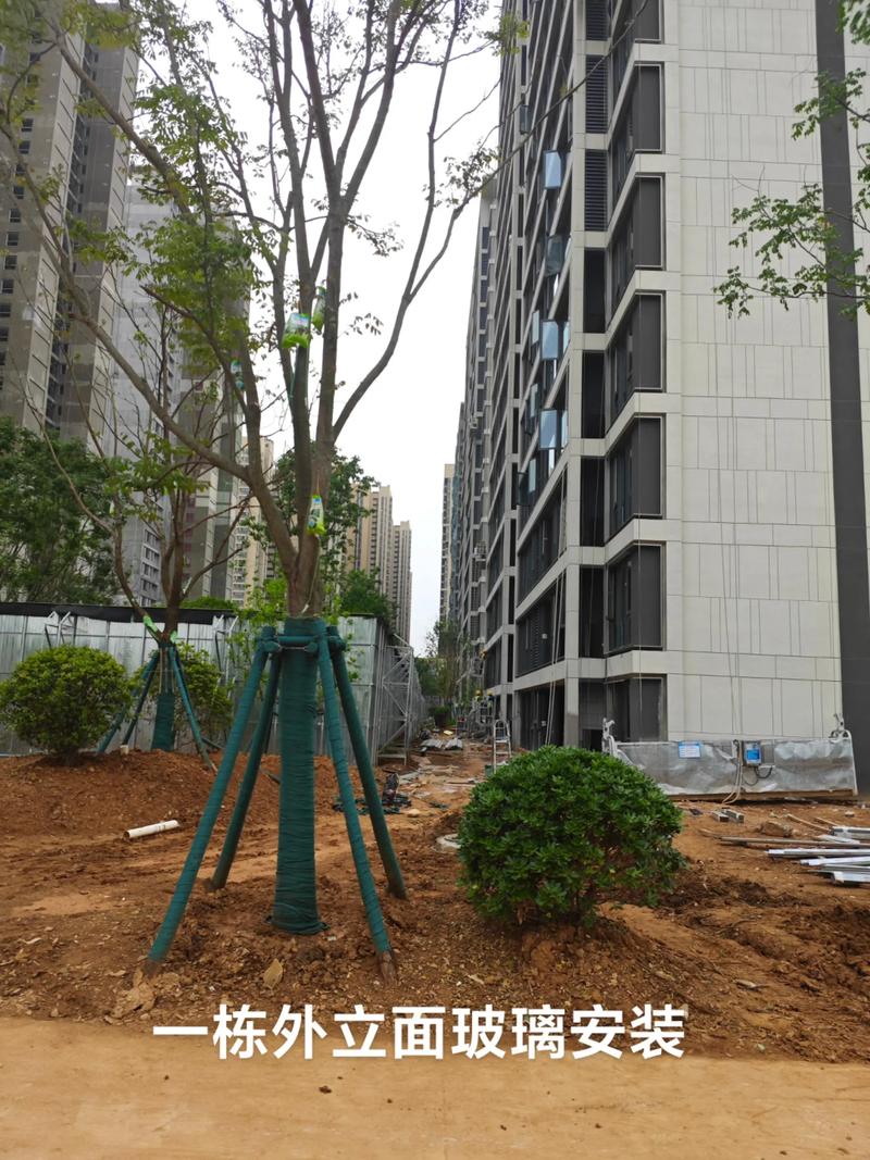 光谷中央公園園林綠化工程施工進(jìn)展順利，打造生態(tài)休閑新地標(biāo)